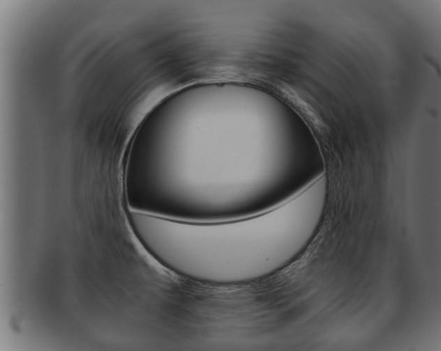 X0000091961479200709061050