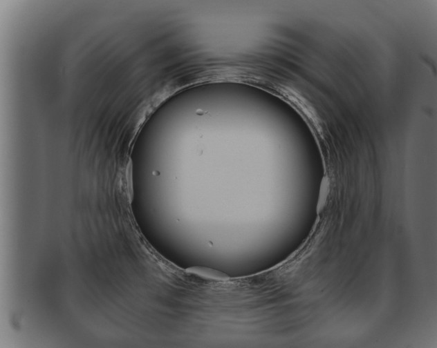 X0000091961481200709061050