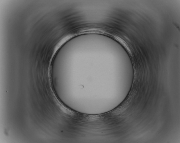 X0000091961482200709061050
