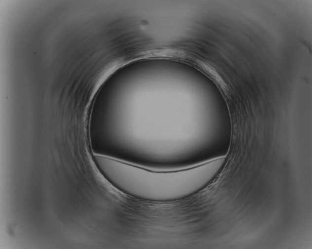 X0000091961483200709061050