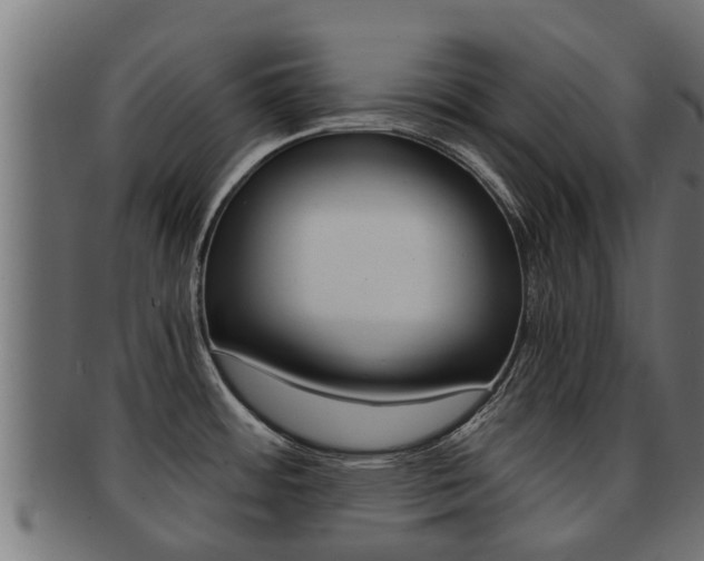 X0000091961484200709061050