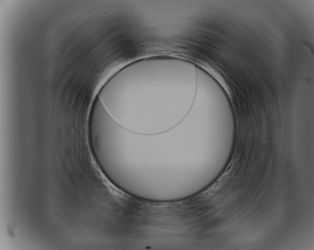 X0000091961485200709061050
