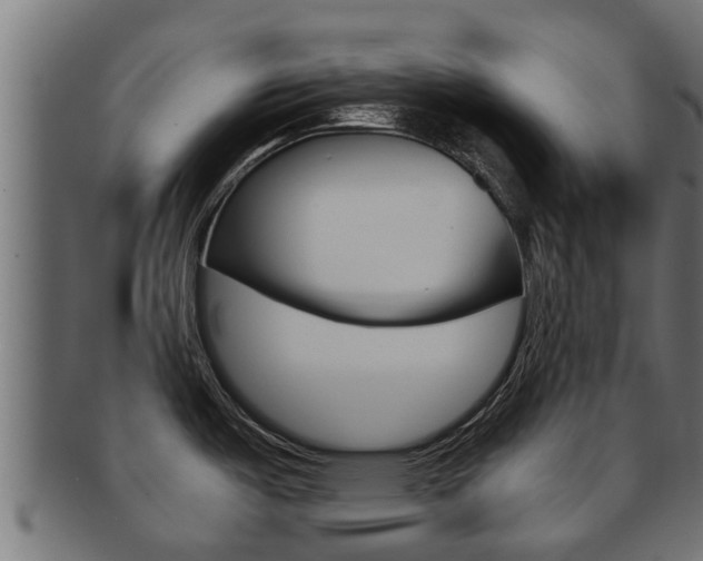 X0000091961487200709061050
