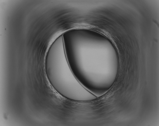 X0000091961488200709061050