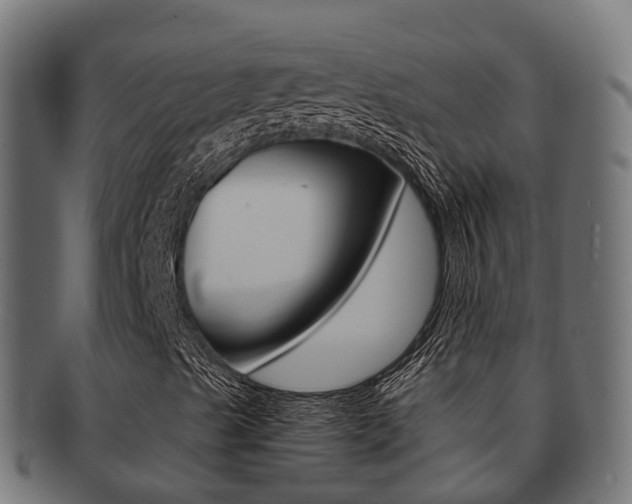 X0000091961489200709061049