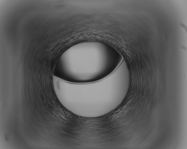 X0000091961490200709061049