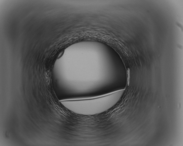 X0000091961491200709061049