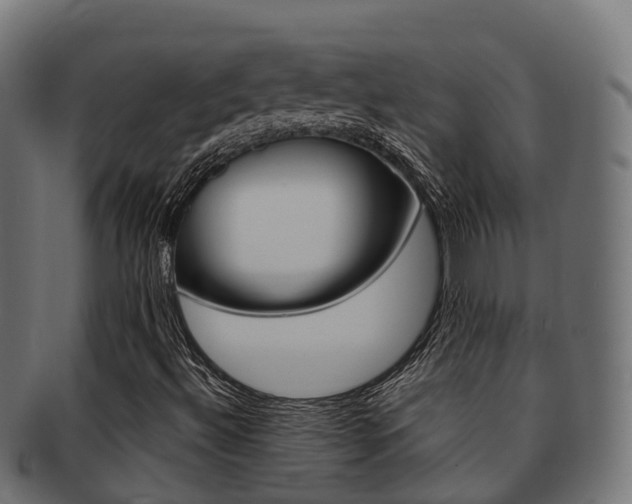 X0000091961492200709061049