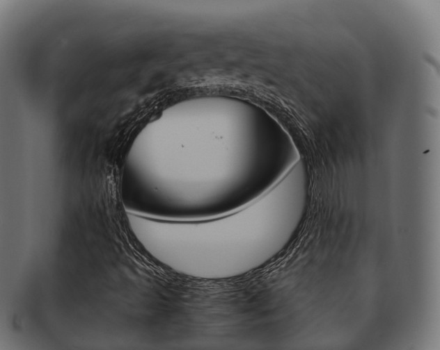 X0000091961493200709061049