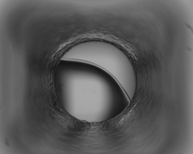 X0000091961494200709061049