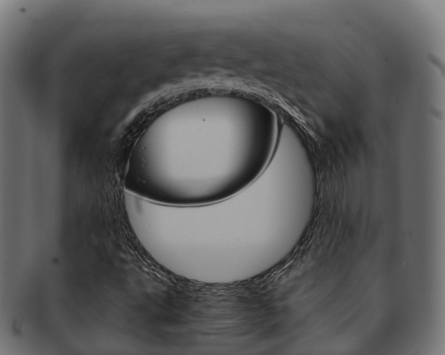 X0000091961495200709061049
