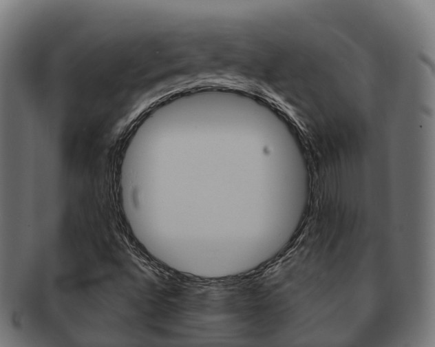 X0000091961496200709061049