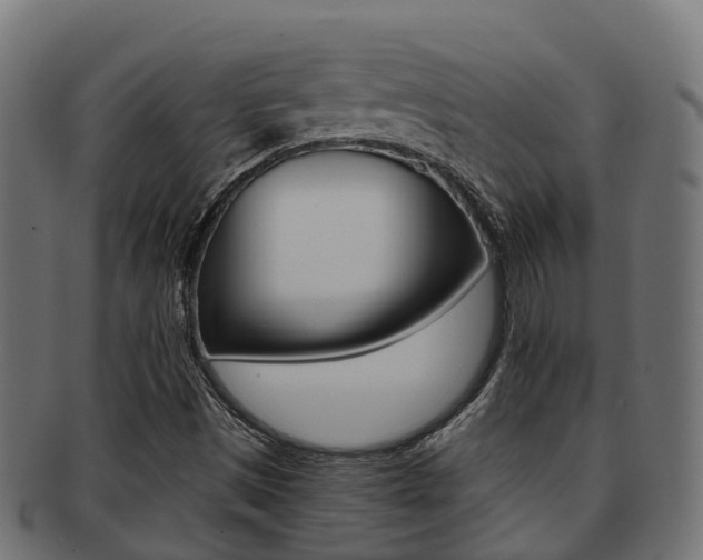 X0000091961497200709061049