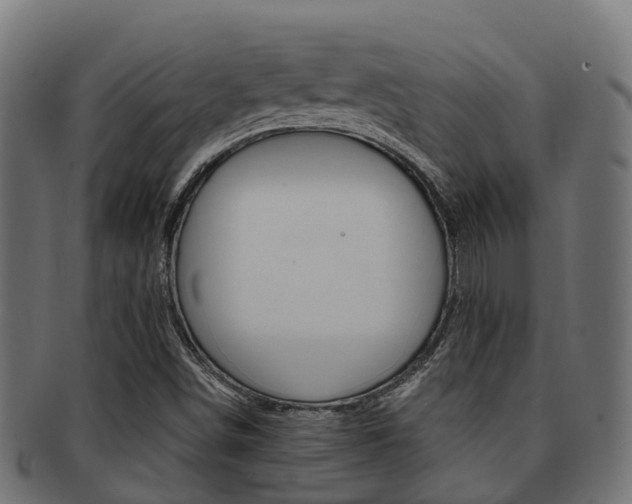 X0000091961498200709061049