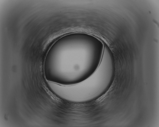 X0000091961499200709061049
