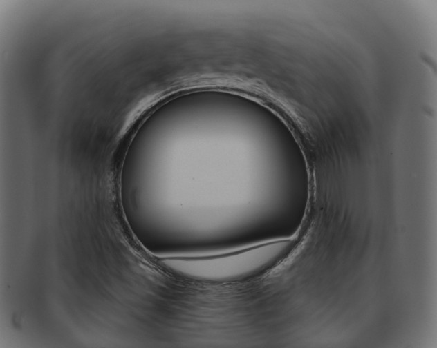 X0000091961501200709061049