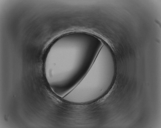 X0000091961502200709061049