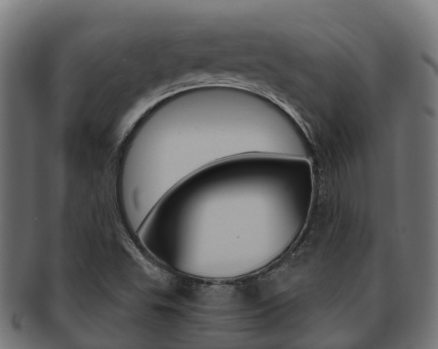 X0000091961503200709061049