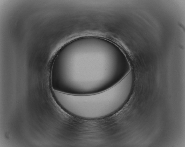 X0000091961504200709061049