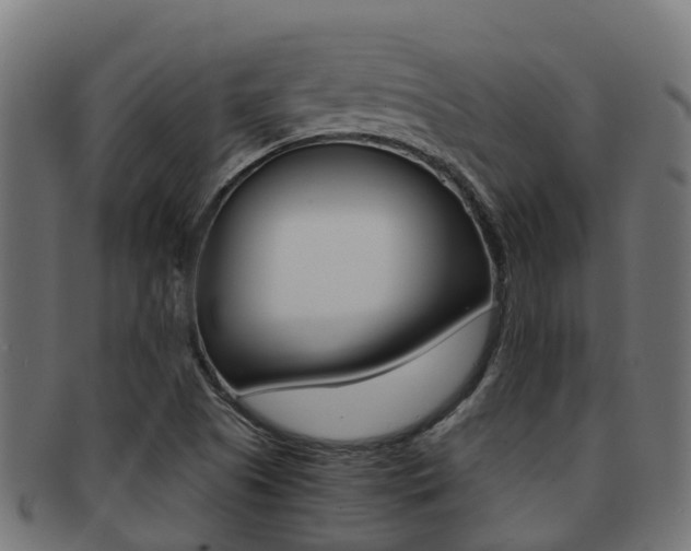 X0000091961505200709061049