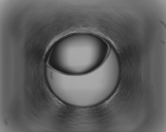 X0000091961506200709061049