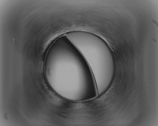 X0000091961507200709061049