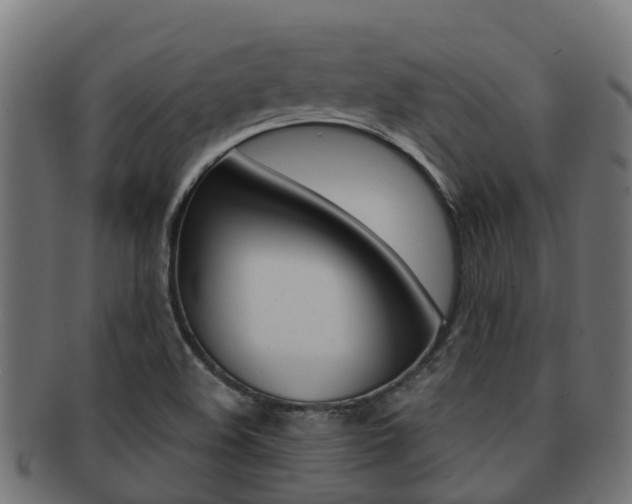 X0000091961508200709061049