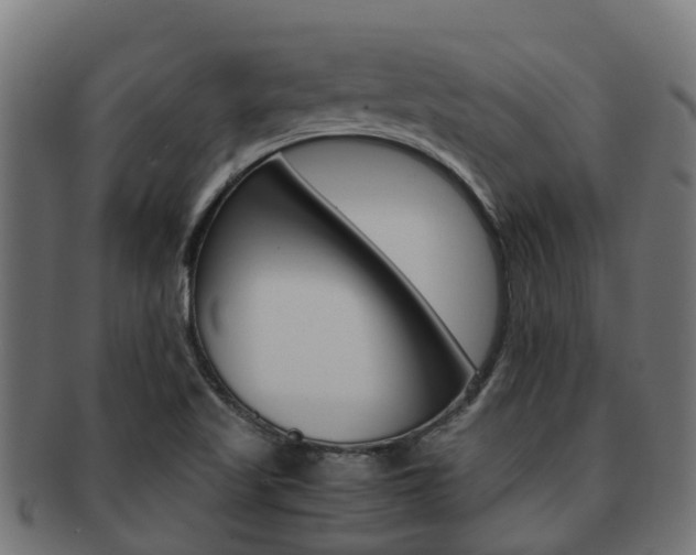 X0000091961509200709061049