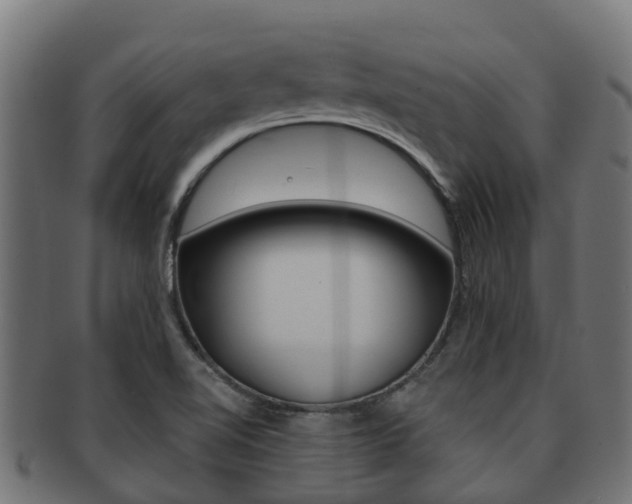 X0000091961510200709061049