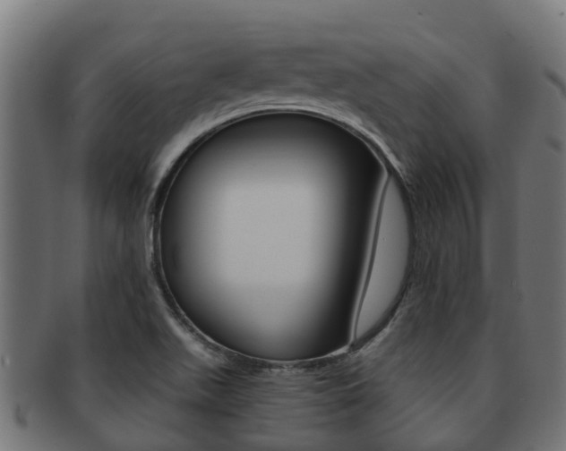 X0000091961511200709061049