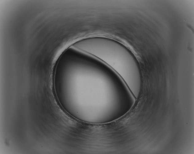 X0000091961512200709061049