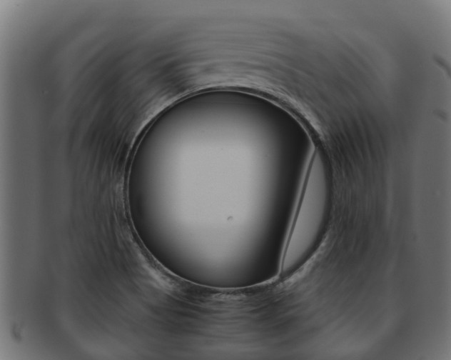 X0000091961513200709061049