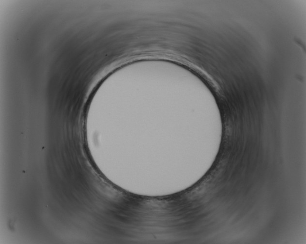 X0000091961514200709061049