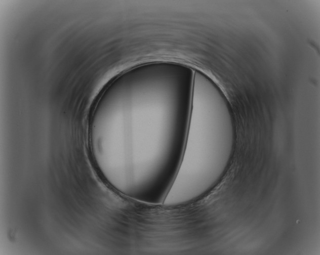 X0000091961515200709061049