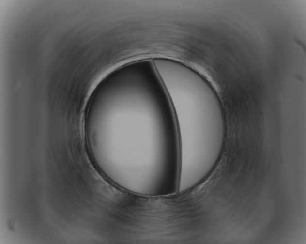 X0000091961516200709061049
