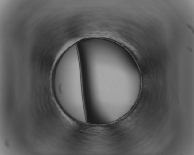 X0000091961517200709061049