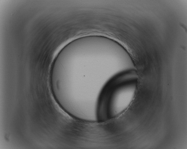 X0000091961518200709061049