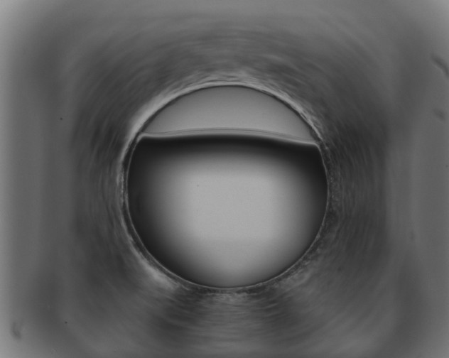 X0000091961519200709061049