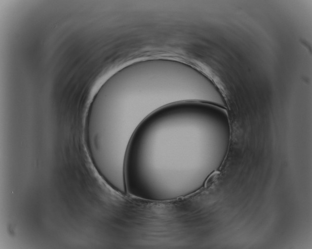 X0000091961520200709061049