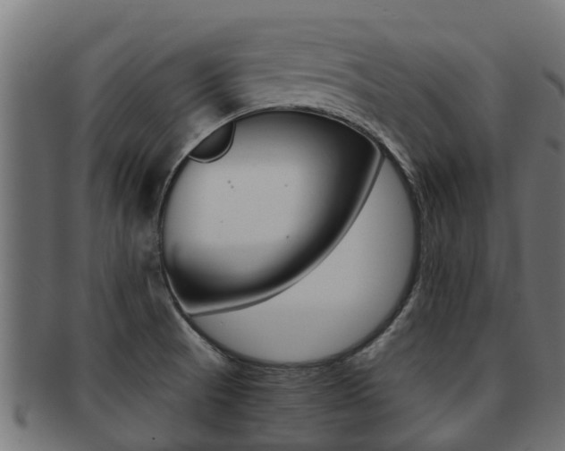 X0000091961521200709061049