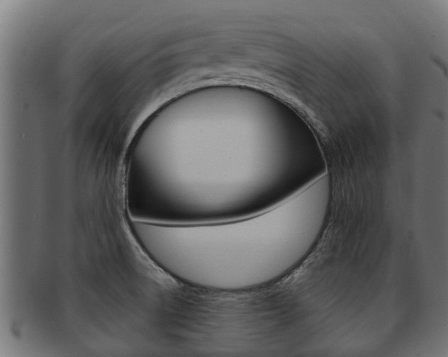 X0000091961522200709061049