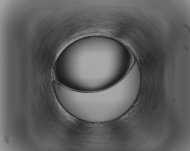 X0000091961524200709061049