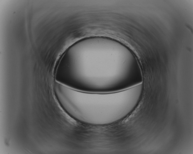 X0000091961525200709061049