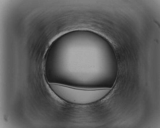 X0000091961526200709061049