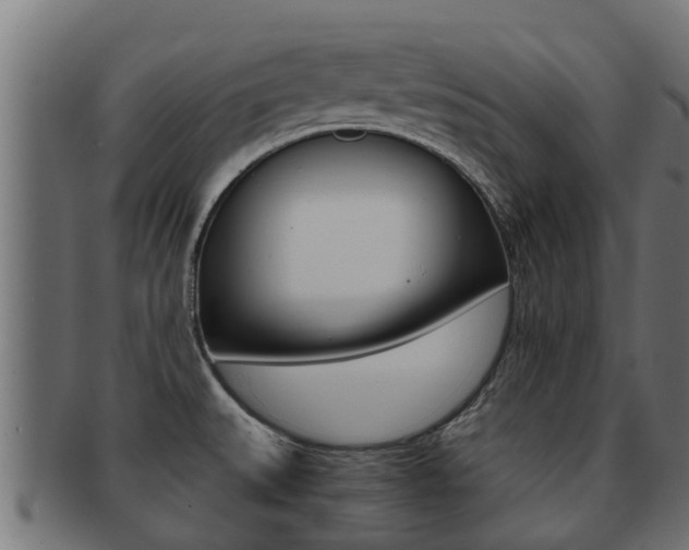 X0000091961527200709061049