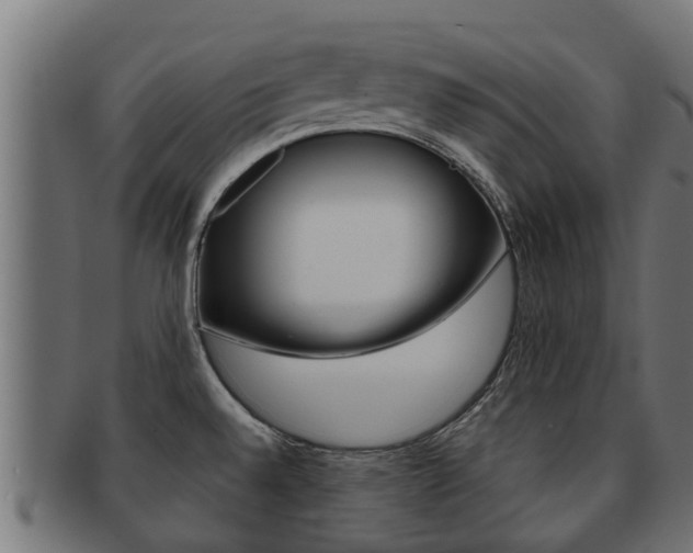 X0000091961528200709061049