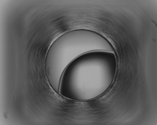 X0000091961529200709061049