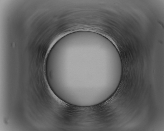 X0000091961531200709061049