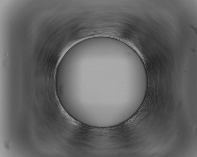 X0000091961532200709061049