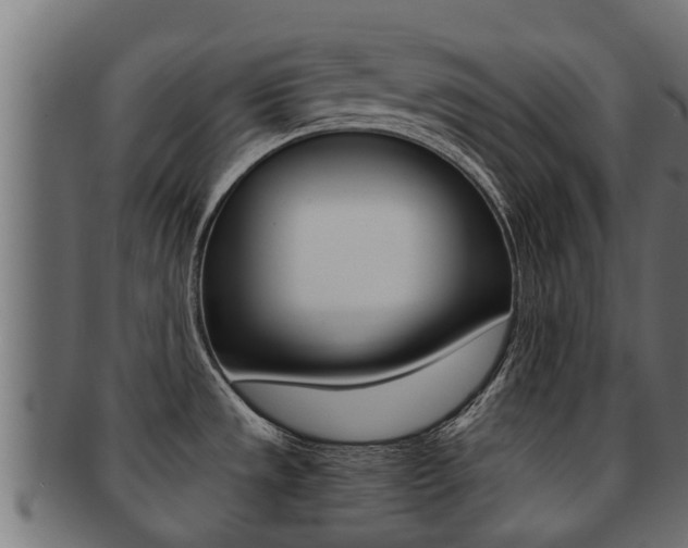 X0000091961533200709061049